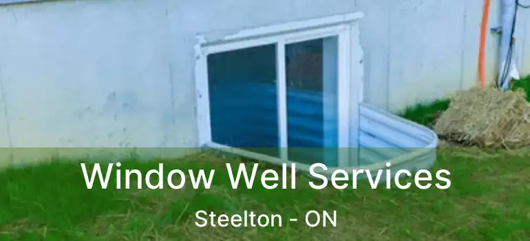 Window Well Services Steelton - ON