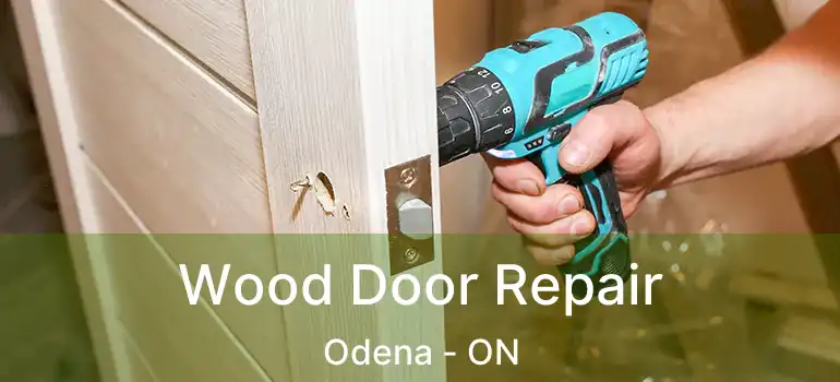 Wood Door Repair Odena - ON